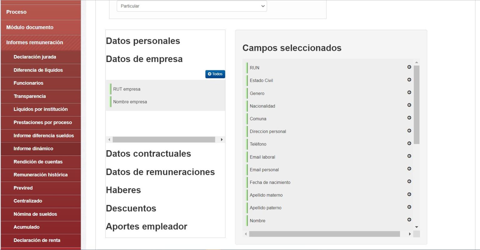 Sección Informe dinámico